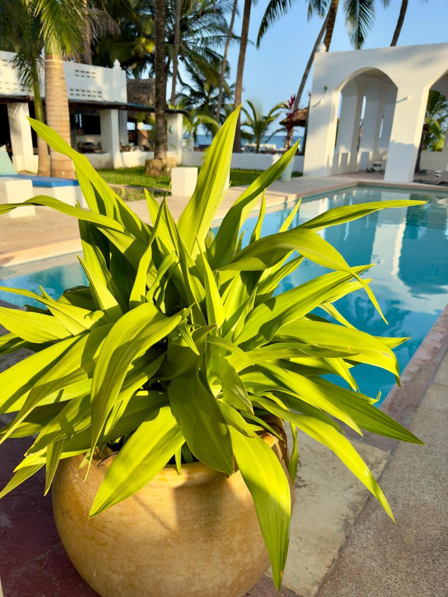 Sawa Sawa Beach House Msambweni Bagian luar foto