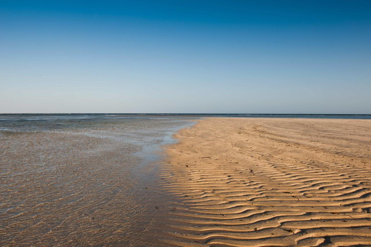 Sawa Sawa Beach House Msambweni Bagian luar foto